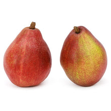 Wholesale Red Pair- Bulk