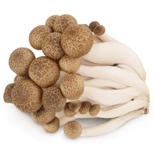 Wholesale Phillips Case Hon Shimeji Mushroom (Beech)- Bulk