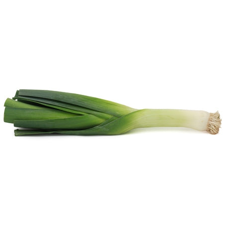 Wholesale Ocean Mist Case Leeks- Bulk