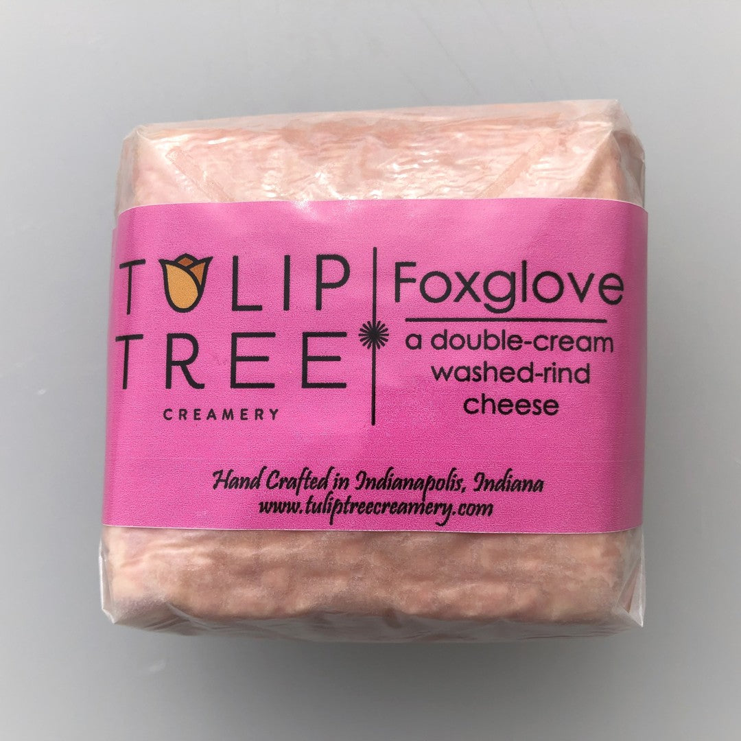 Wholesale Tulip Tree Foxglove 8Oz- Bulk