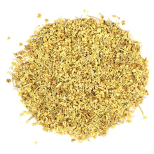 Wholesale Elder Flower | 50 ct- Bulk