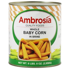 Wholesale BoxNCase Case Whole Baby Corn- Bulk