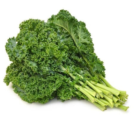 Wholesale BoxNCase Case Green Kale- Bulk