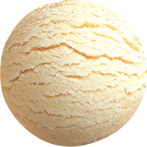 Wholesale Bindi Vanilla Bean Gelato | 1.25 gl- Bulk