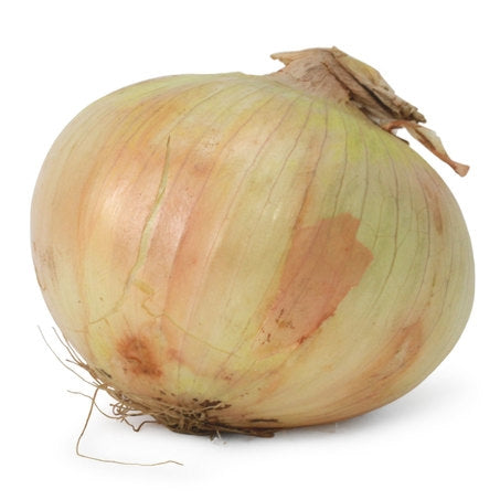Wholesale BoxNCase Case Vidalia Onions- Bulk