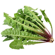 Wholesale BoxNCase Case Green Dandelions- Bulk