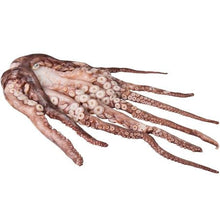 Wholesale Pesfasa Case Spanish Octopus 2-4Lb- Bulk