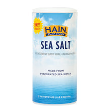 Wholesale Hain Pure Foods Iodized Sea Salt 21 Oz Bottle- Bulk