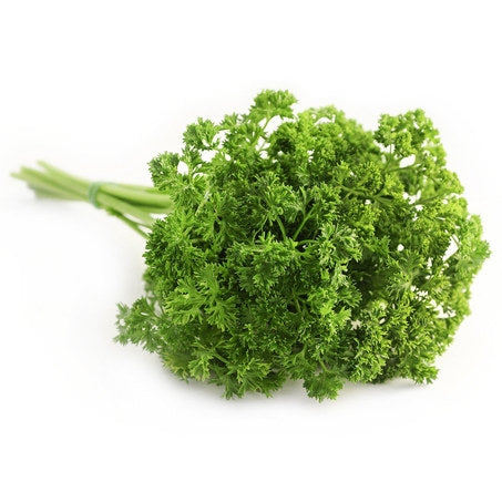 Wholesale BoxNCase Case Curly Parsley- Bulk
