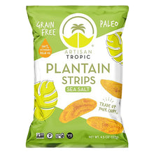 Wholesale Artisan Tropic Sea Salt Plantain Strips 4.5 Oz Bag- Bulk