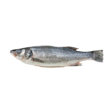 Wholesale BoxNCase Case 8/1000 Finned & Scaled Skin On Branzino- Bulk