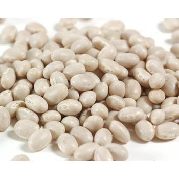 Wholesale D'Allesandro White Beans 10lb- Bulk