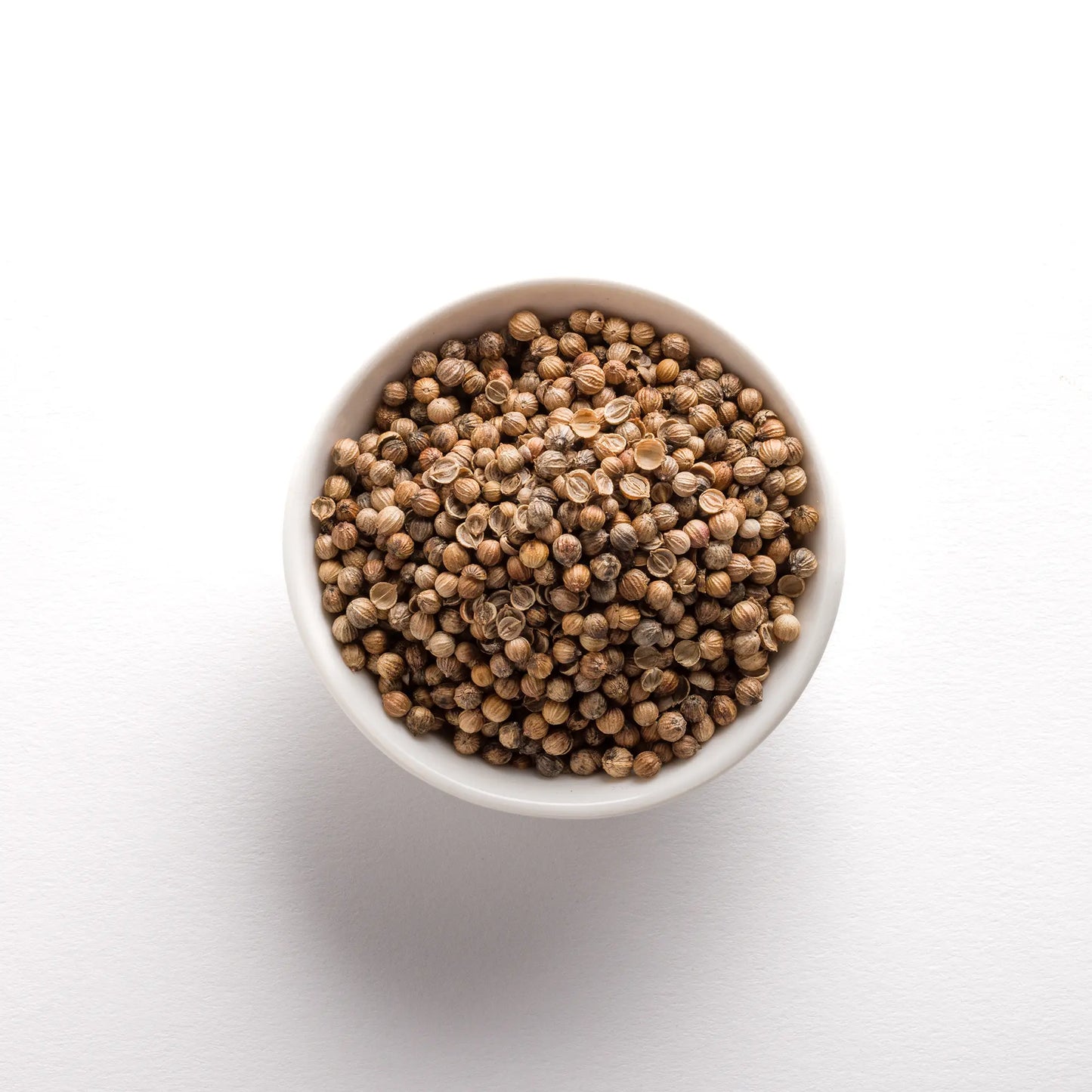 Wholesale BoxNCase Coriander Seed Bulk 10lb- Bulk