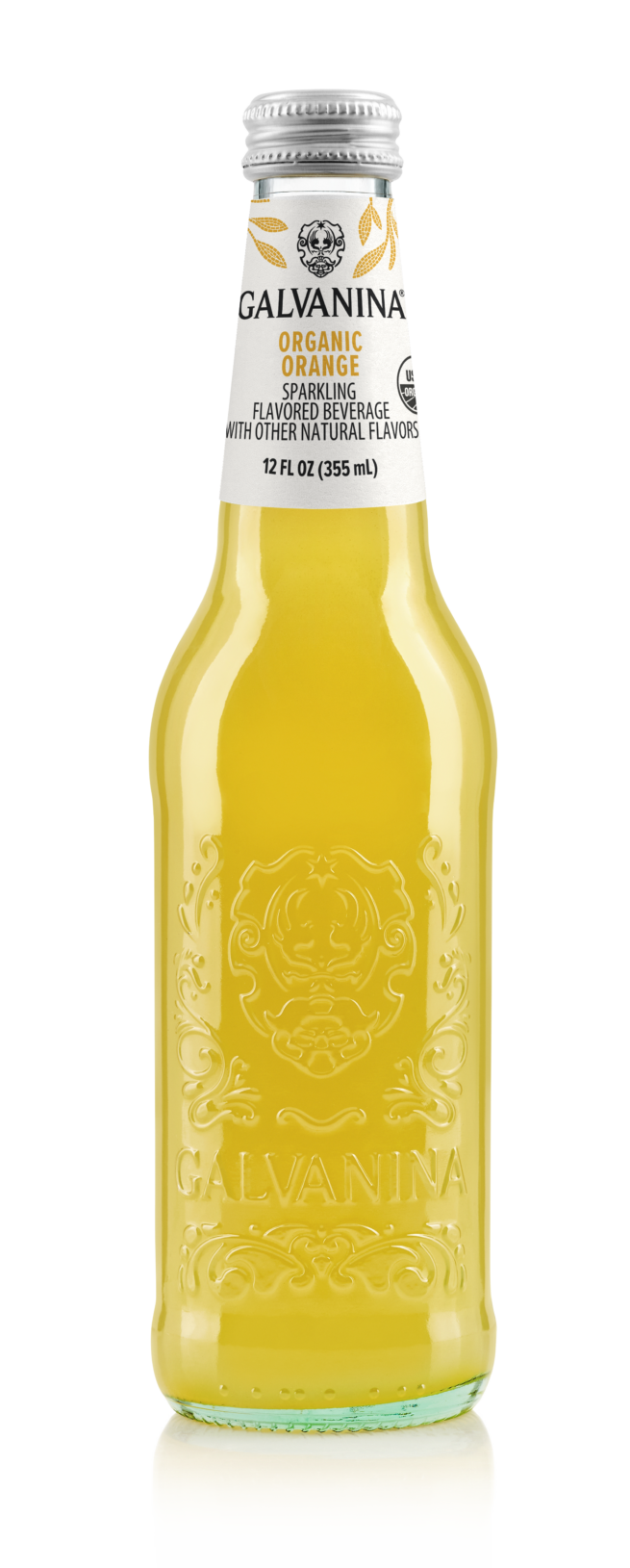 Wholesale Organic Orange Soda Soda Galvanina 355 ML- Bulk