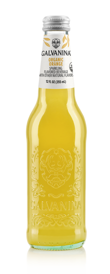 Wholesale Organic Orange Soda Soda Galvanina 355 ML- Bulk