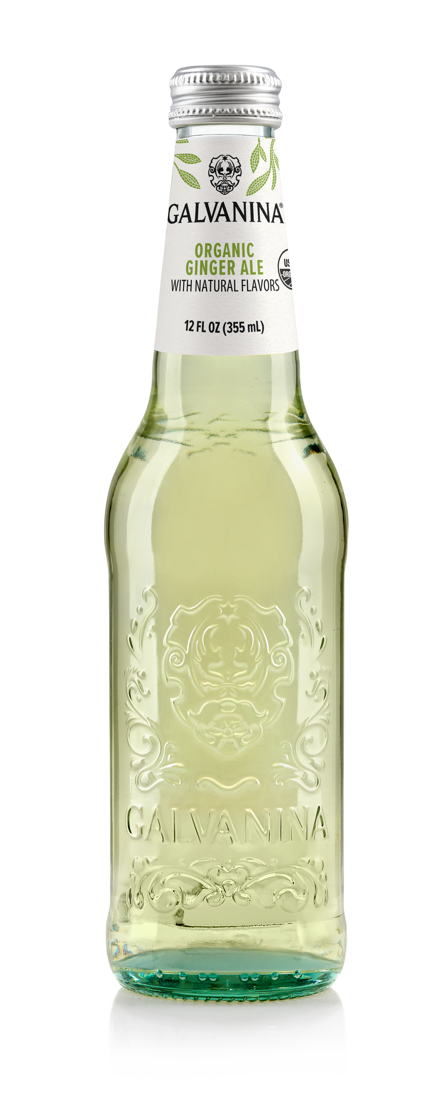 Wholesale Organic Ginger Ale Soda Galvanina 355 ML- Bulk