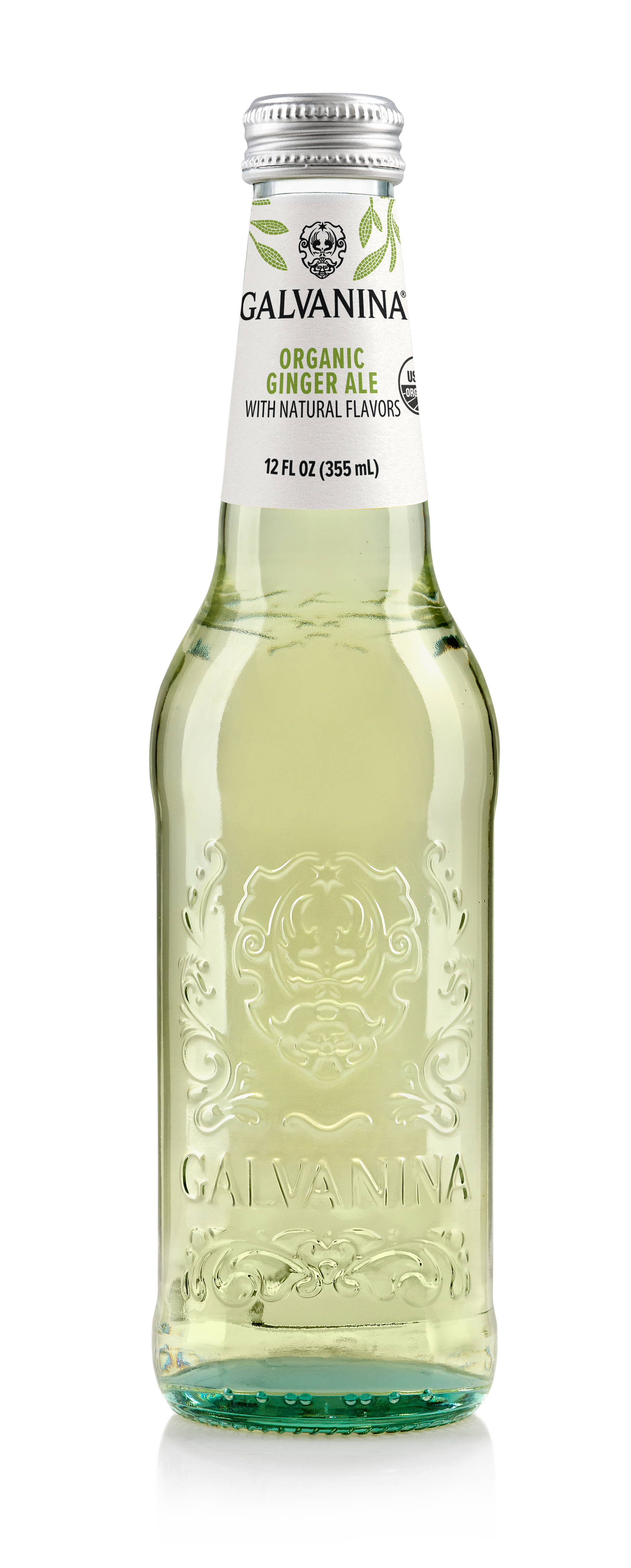 Wholesale Organic Ginger Ale Soda Galvanina 355 ML- Bulk