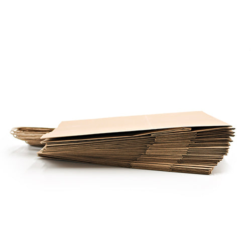 Wholesale Flexo Converters USA 13x7x17 Shopping Bags- Bulk
