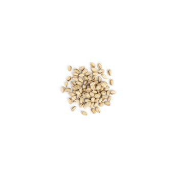 Wholesale Bazzini Nuts Pistachio In Shell 1lb- Bulk