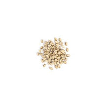 Wholesale Bazzini Nuts Pistachio In Shell 1lb- Bulk