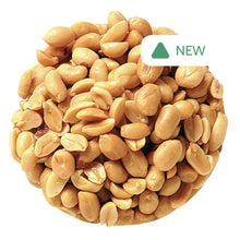 Wholesale BoxNCase Bulk Peanuts Roasted Unsalted Blanched- Bulk