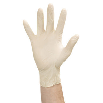 Wholesale Foodhandler XL Powder Free Latex Gloves 100count- Bulk