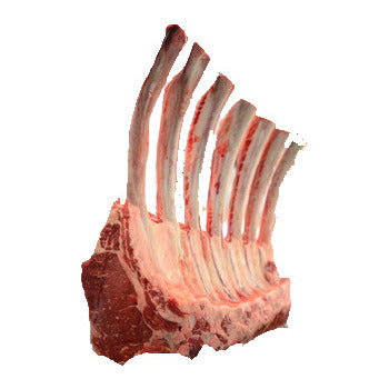 Wholesale IBP Pr Ribeye 7bn Longbone 12x12 25lb- Bulk