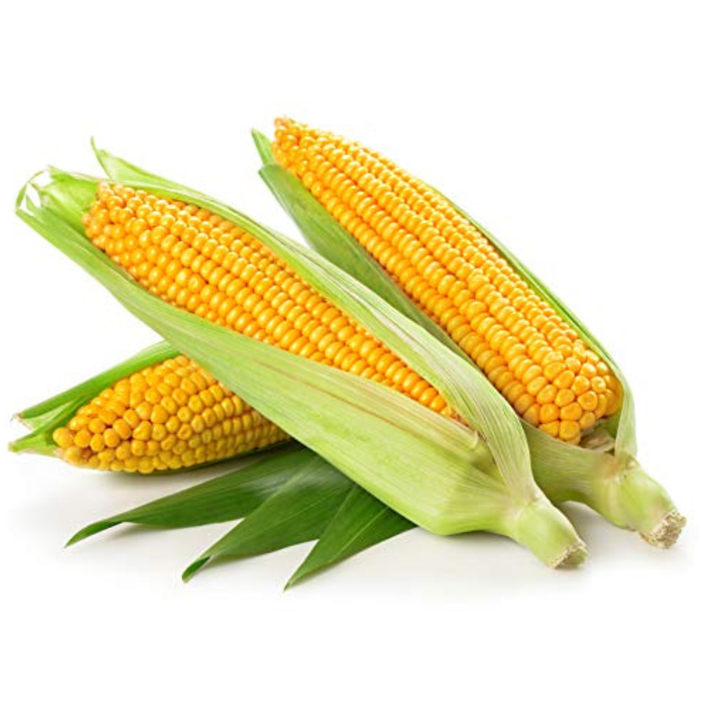 Wholesale BoxNCase Case Corn- Bulk