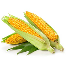 Wholesale BoxNCase Case Corn- Bulk