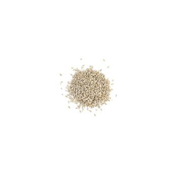 Wholesale Bazzini Nuts Shelled Sunflower Seeds 50lb- Bulk