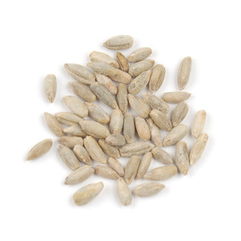 Wholesale D'Allesandro Rye Berries 10lb- Bulk