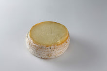 Wholesale Torta De Casar "Tiana" Sheep 1K- Bulk