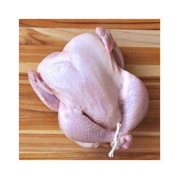 Wholesale Dix Farms Turkey Whole 2/18-20 Lb- Bulk