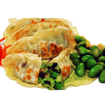 Wholesale Twin Marquis Natural Edamame Dumplings- Bulk