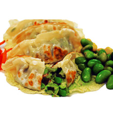 Wholesale Twin Marquis Natural Edamame Dumplings- Bulk
