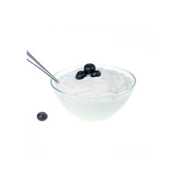Wholesale Pregel Yoggi Yogurt Powder 3.3lb- Bulk