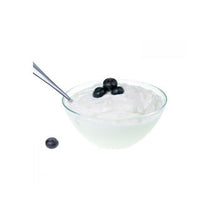 Wholesale Pregel Yoggi Yogurt Powder 3.3lb- Bulk