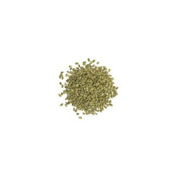 Wholesale Bazzini Nuts Pumpkin Seed Shelled Raw 27.5lb- Bulk