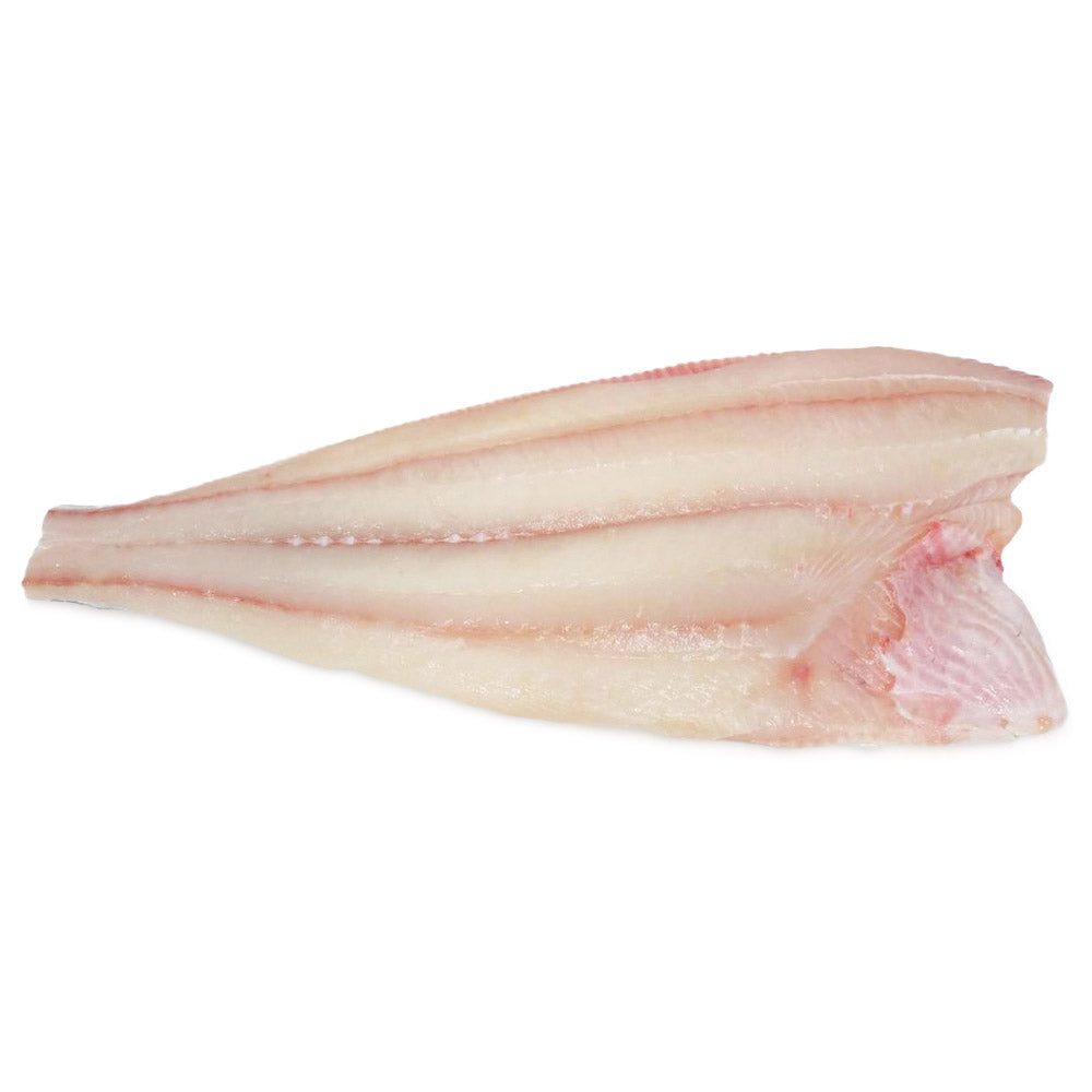 Wholesale Canada Wild Case Fresh Halibut Filet With Skin On 10-16Lb Avg- Bulk