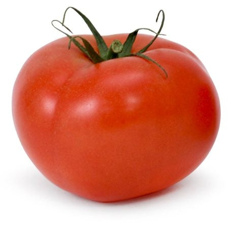 Wholesale BoxNCase Case Greenhouse Tomato Tray- Bulk