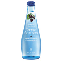 Wholesale Clearly Canadian Mountain Blackberry Sparkling Water 11 Oz Bottle- Bulk
