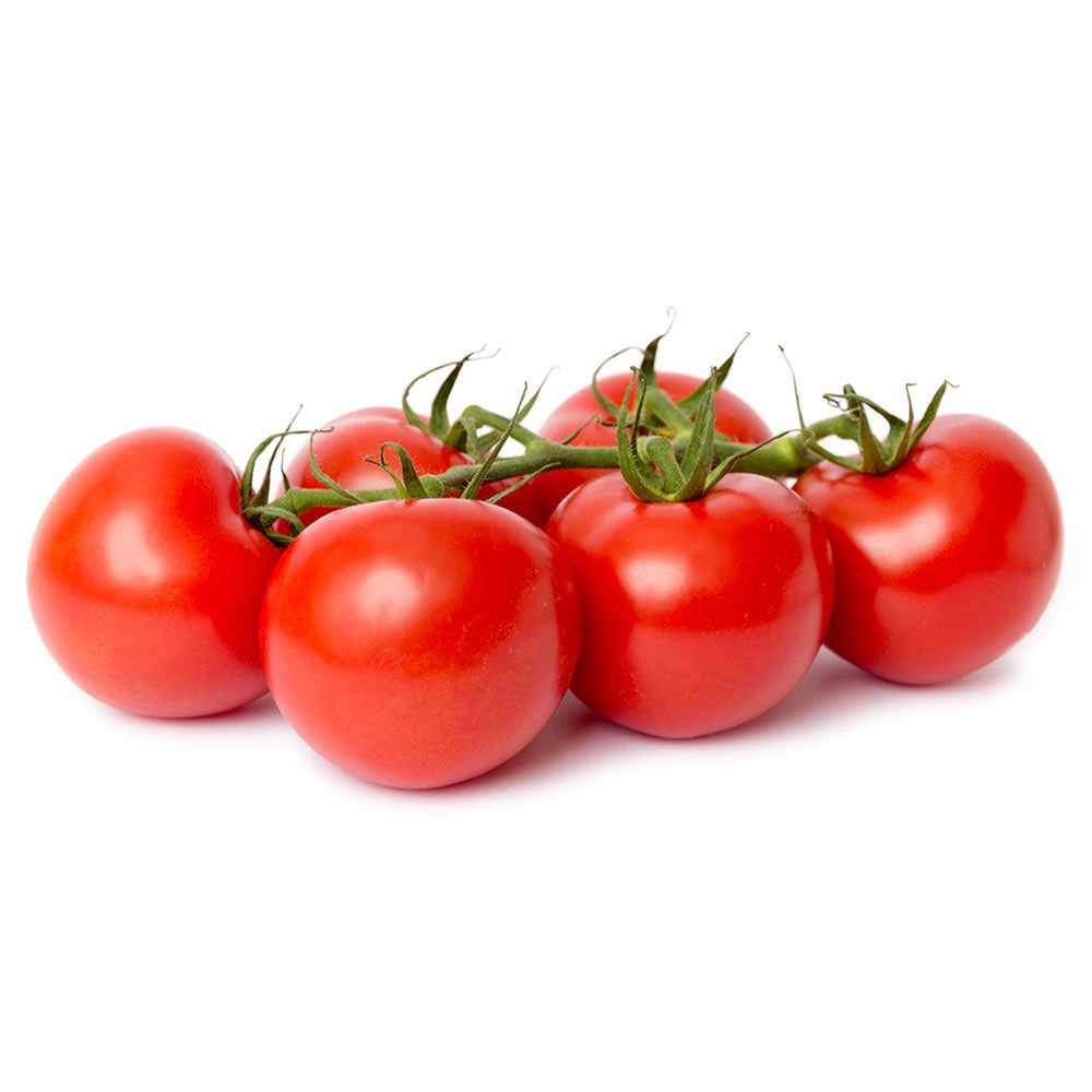 Wholesale Campari Tomato (Cocktail)- Bulk
