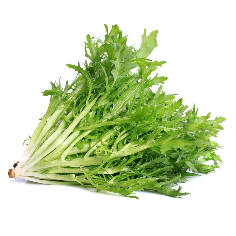 Wholesale BoxNCase Case Chicory- Bulk