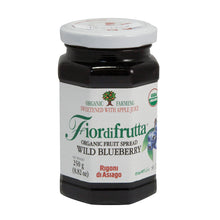 Wholesale Fiordifrutta Organic Wild Blueberry Fruit Spread 8.82 Oz Jar- Bulk