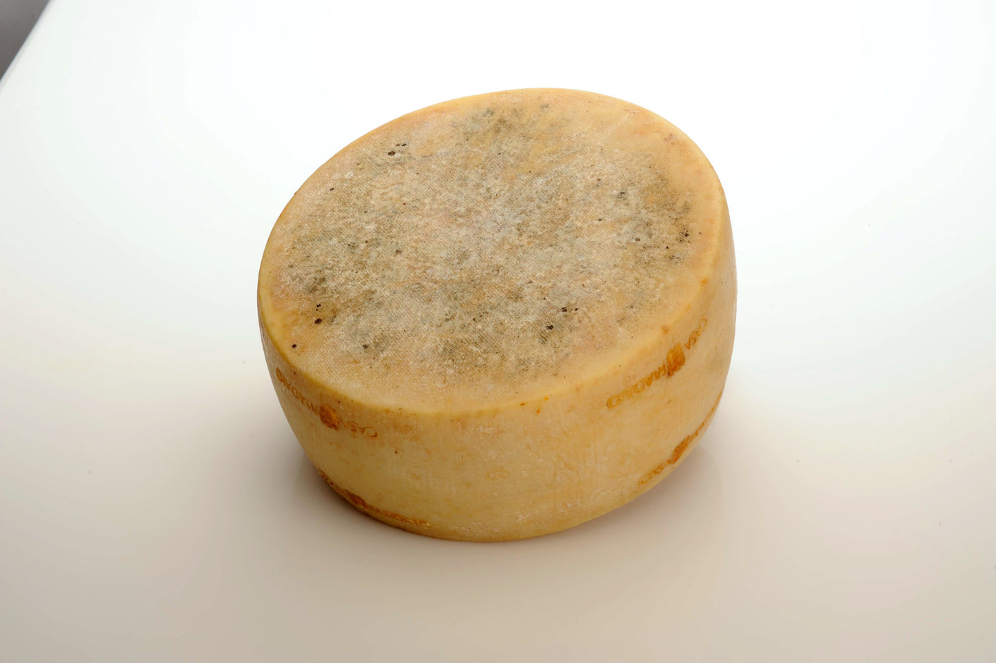 Wholesale Madaio Calcagno Sheep 16K- Bulk