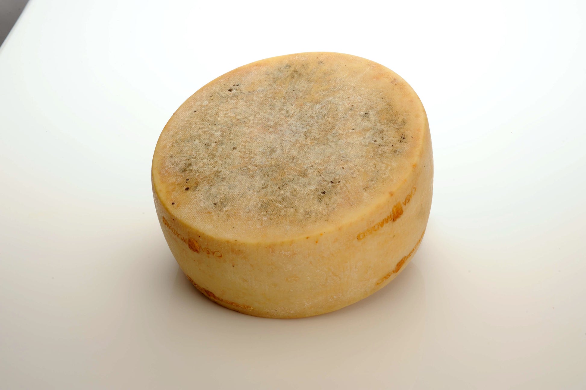Wholesale Madaio Calcagno Sheep 16K- Bulk