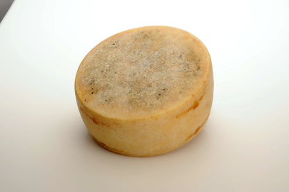 Wholesale Madaio Calcagno Sheep 16K- Bulk