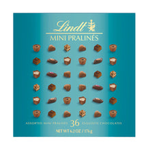 Wholesale Lindt Mini Pralines Turquoise 6.2 Oz Box- Bulk