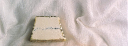 Wholesale Capriole Sofia 1#- Bulk
