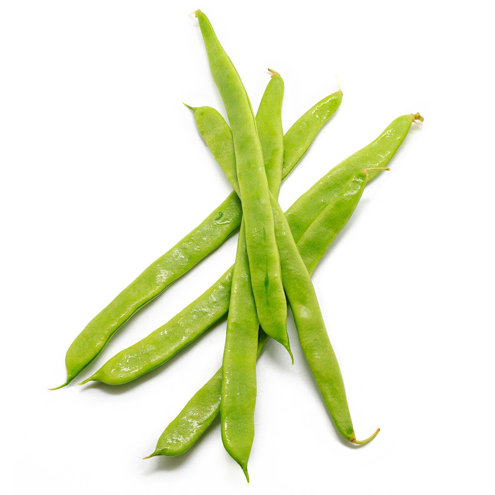 Wholesale BoxNCase Case Italian Green Beans- Bulk